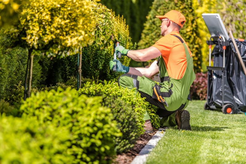 Xeriscape Landscaping Service