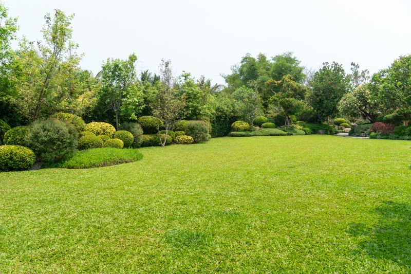 Xeriscape Landscaping Service