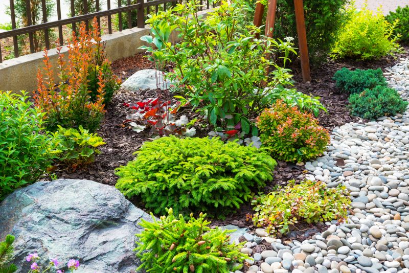 Xeriscape Landscaping Service
