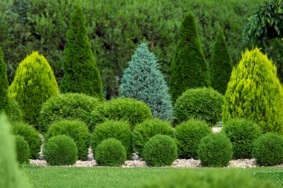 Xeriscape Landscaping Service
