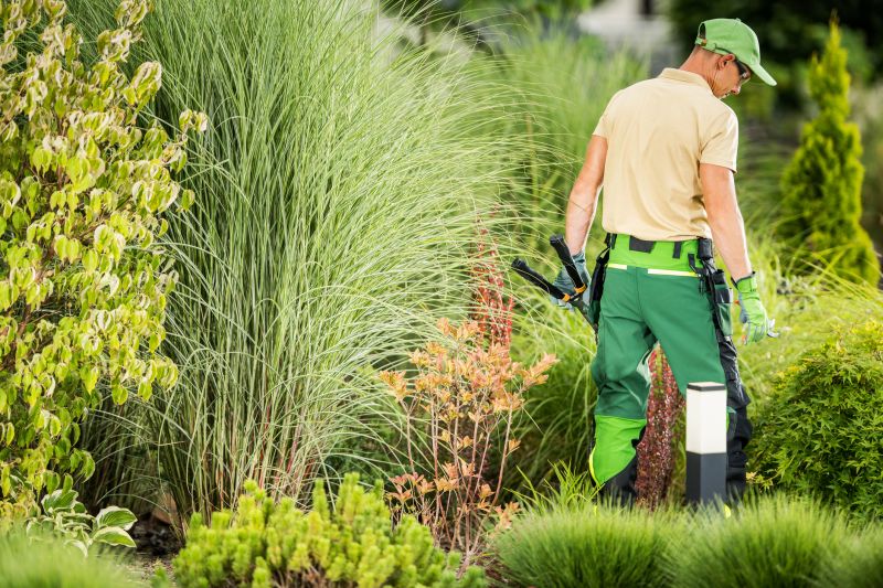 Xeriscape Landscaping Service