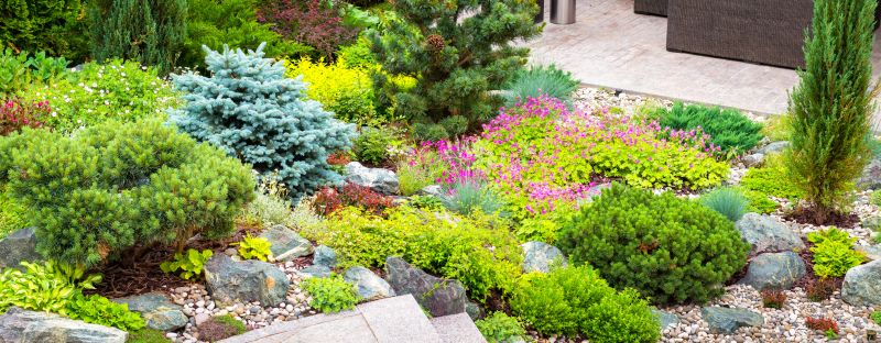 Xeriscape Landscaping Service