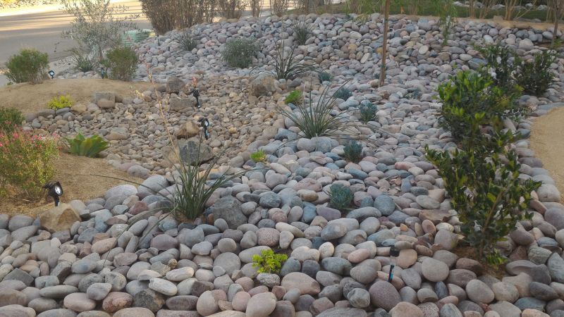 Xeriscape Landscaping Service