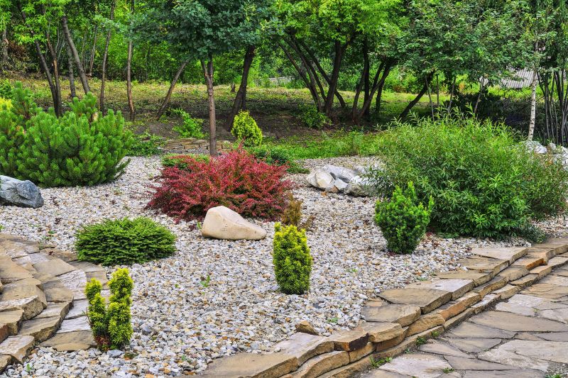 Xeriscape Landscaping Service