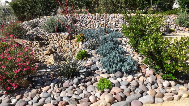 Xeriscape Landscaping Service